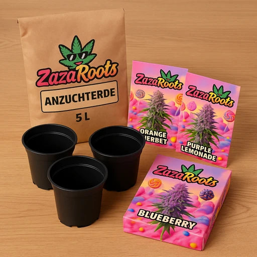 ZazaRoots Anzucht-Set Mini – 3 Samen, 3 Töpfe, 5 L Erde - My Store