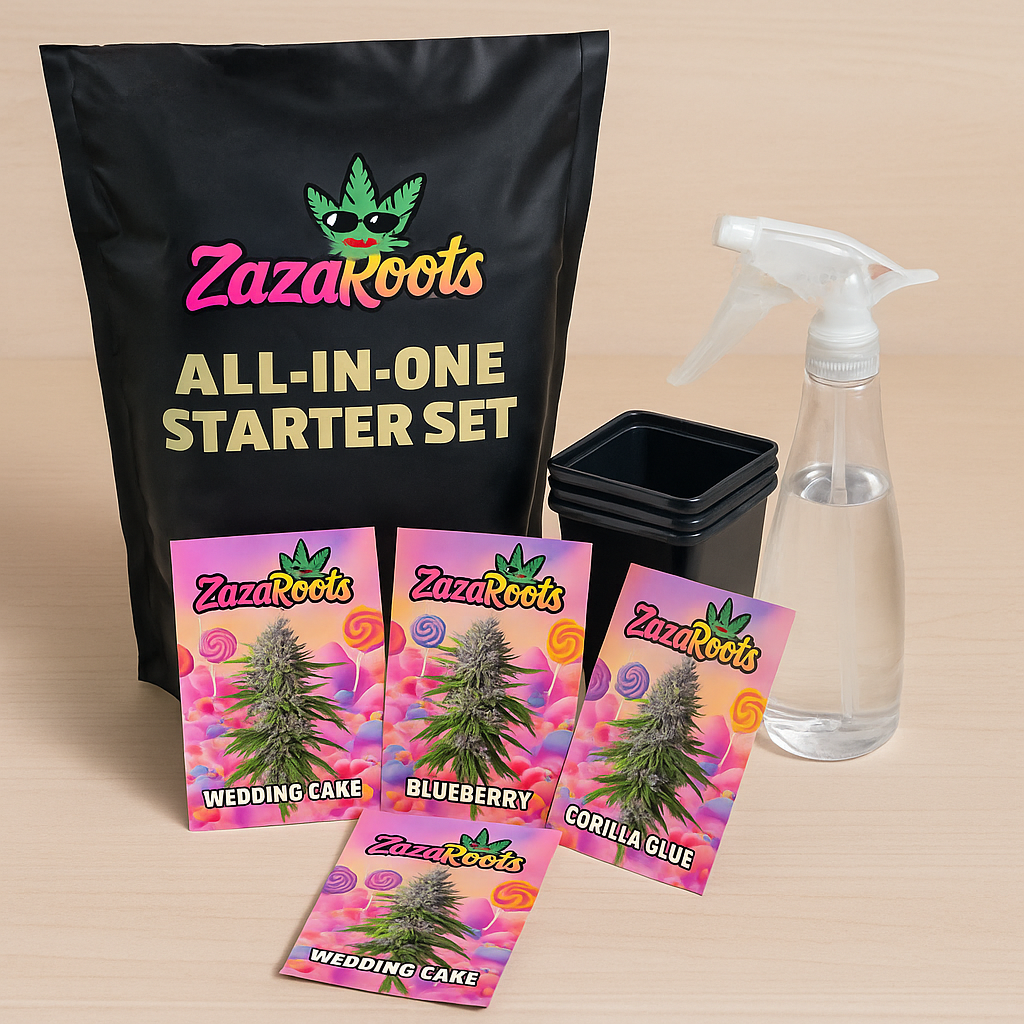 ZazaRoots All-in-One Starter Set – 4 Samen, 4 Töpfe, 5 L Erde & große Sprühflasche - My Store