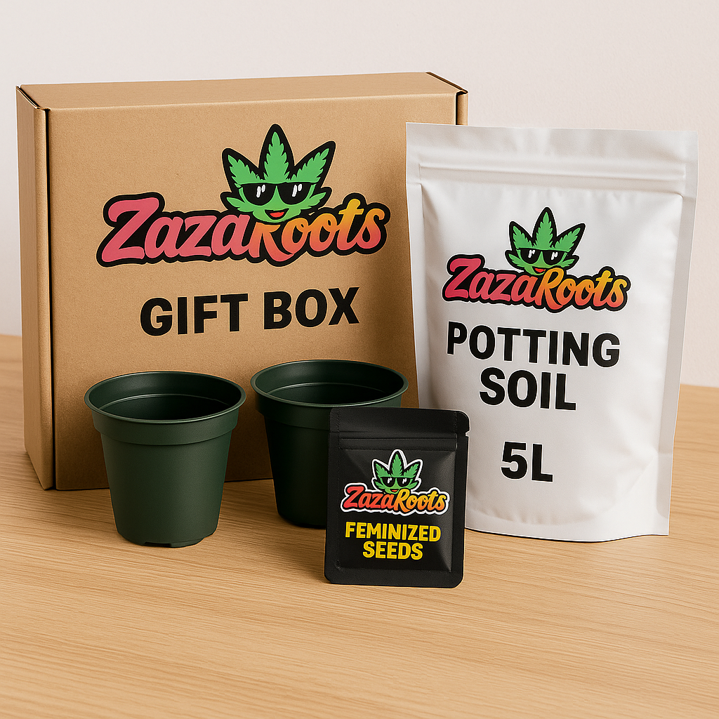 ZazaRoots Geschenkbox Set – 2 Samen & Zubehör im Geschenkdesign - My Store